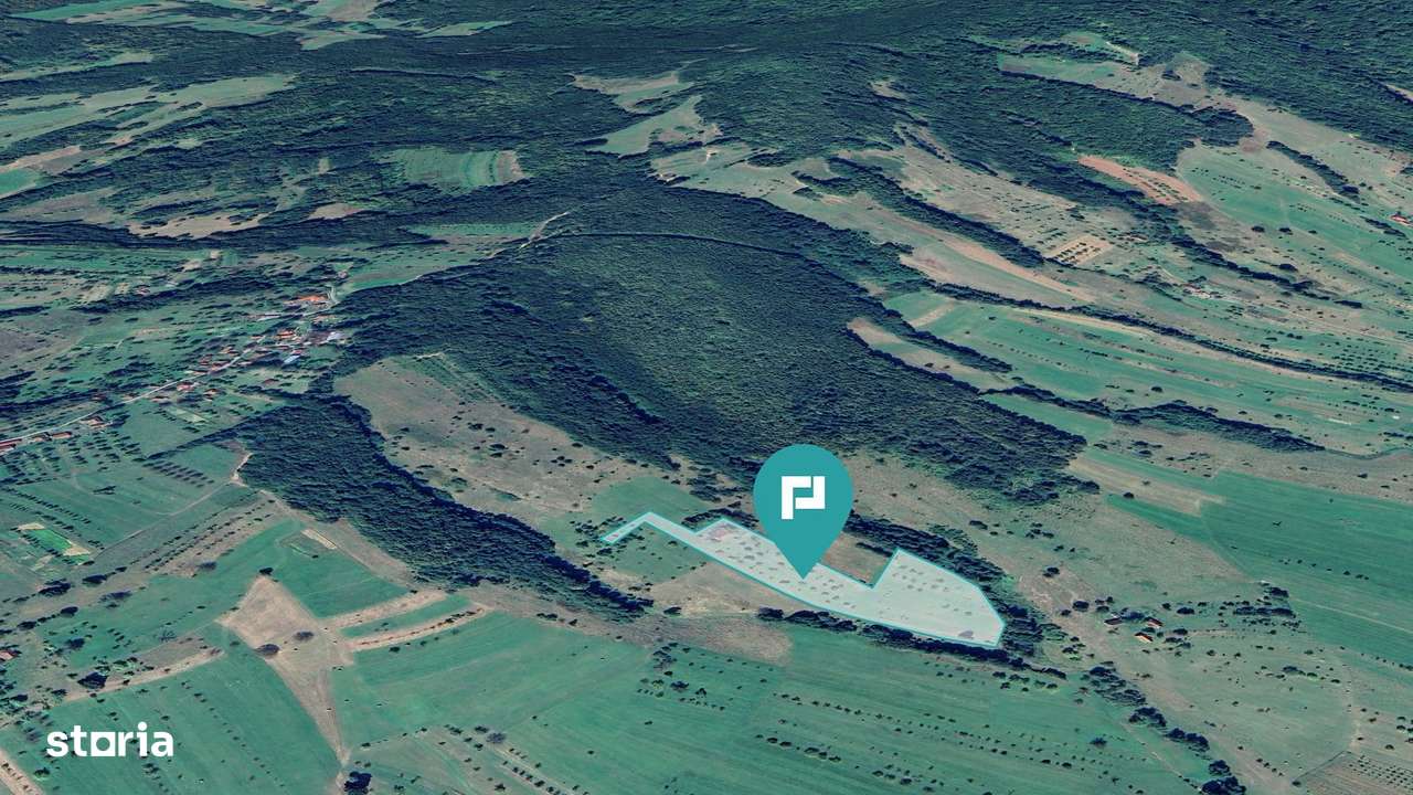 Teren de 92294 in Halmagiu - Imagine principală: 3/4