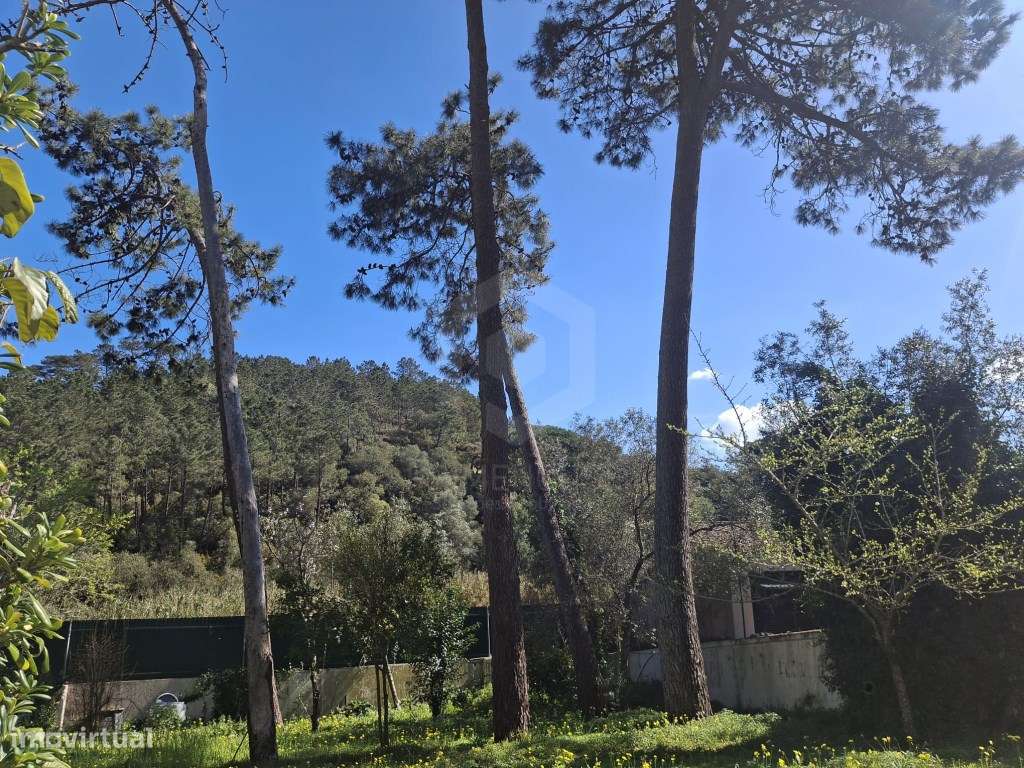 Moradia de Tradicional com Piscina em Lote de 2135 m² - Cotovia-26