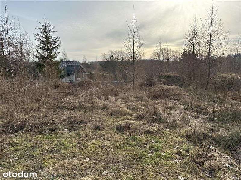 Działka budowlana - Bielkówko - Pełny obrazek: 4/11