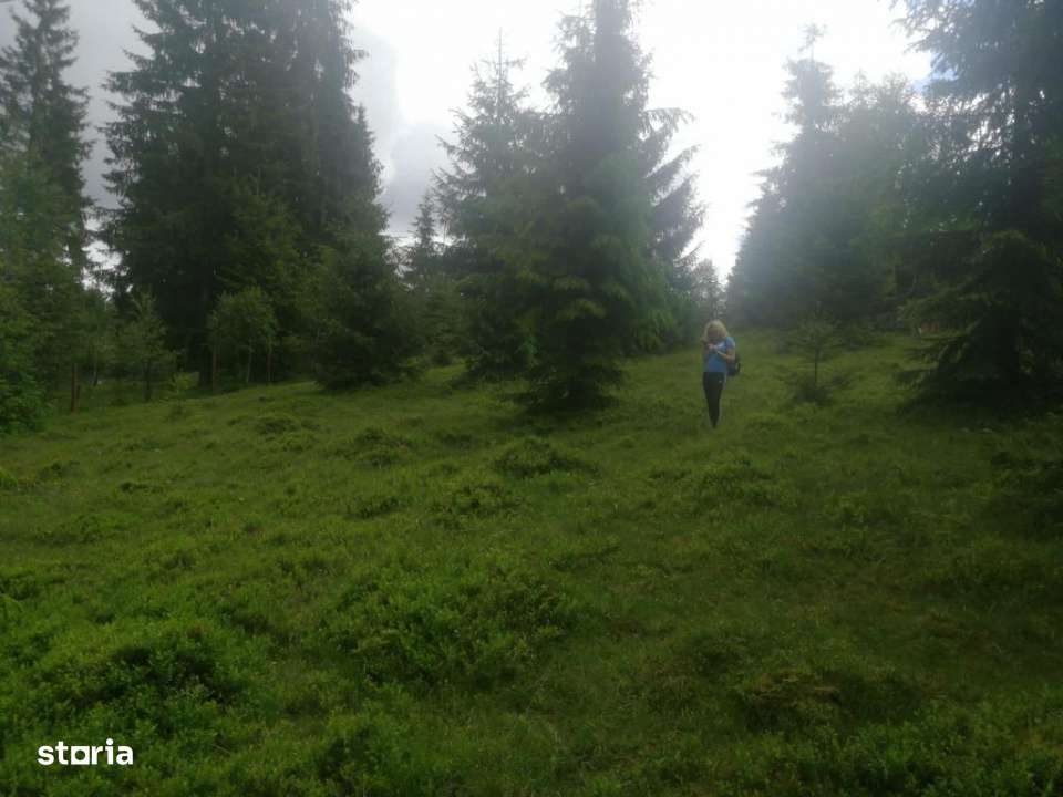 Teren de vanzare Belis1300mp Strada principala Intravilan-6