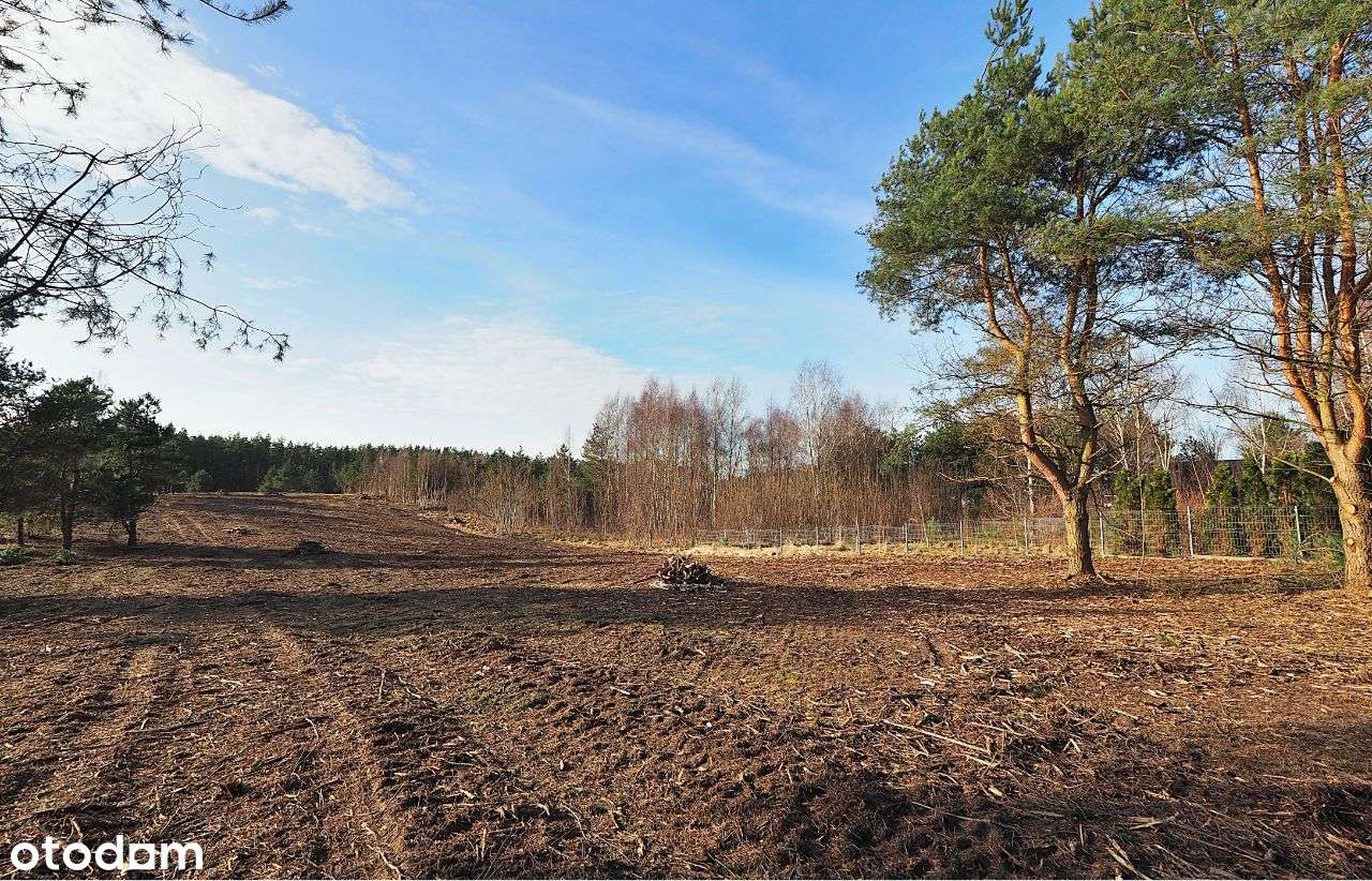 Działki w Szczeglinie gm. Sianów - Pełny obrazek: 3/9