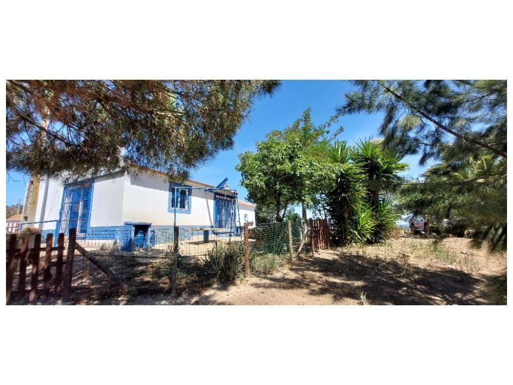 HERDADE 92 ha l Colos-18