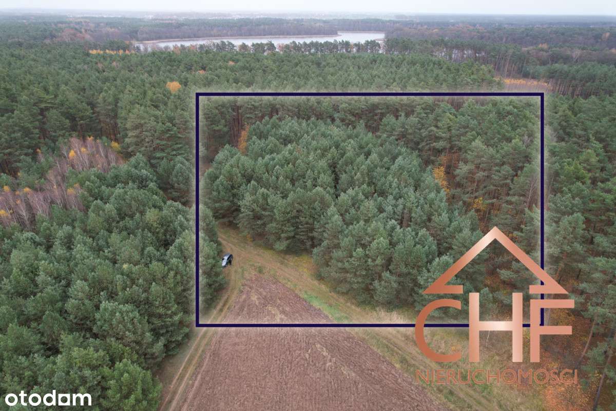 Zamieszkaj blisko natury! - Pełny obrazek: 4/12