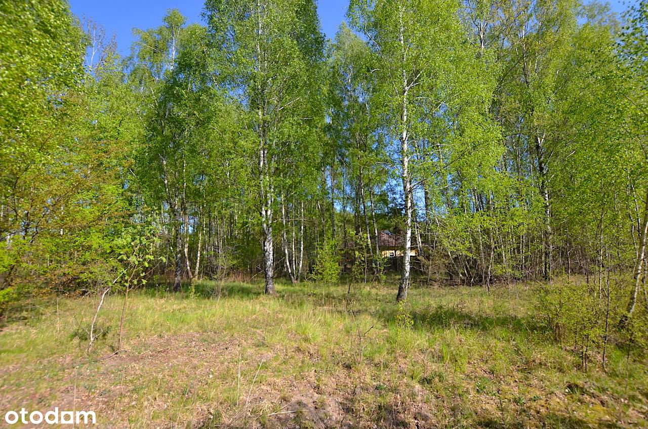 Działka budowlana 2000 m2 / Adamów-Parcel-6