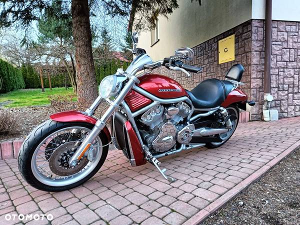 Harley-Davidson V-Rod Muscle - 5