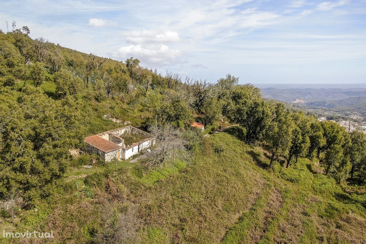 Terreno com Ruína, Monchique, Algarve