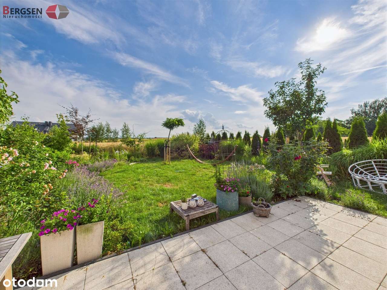 Nowiczesny, cisza, zieleń, las, jeziora, sarny-18