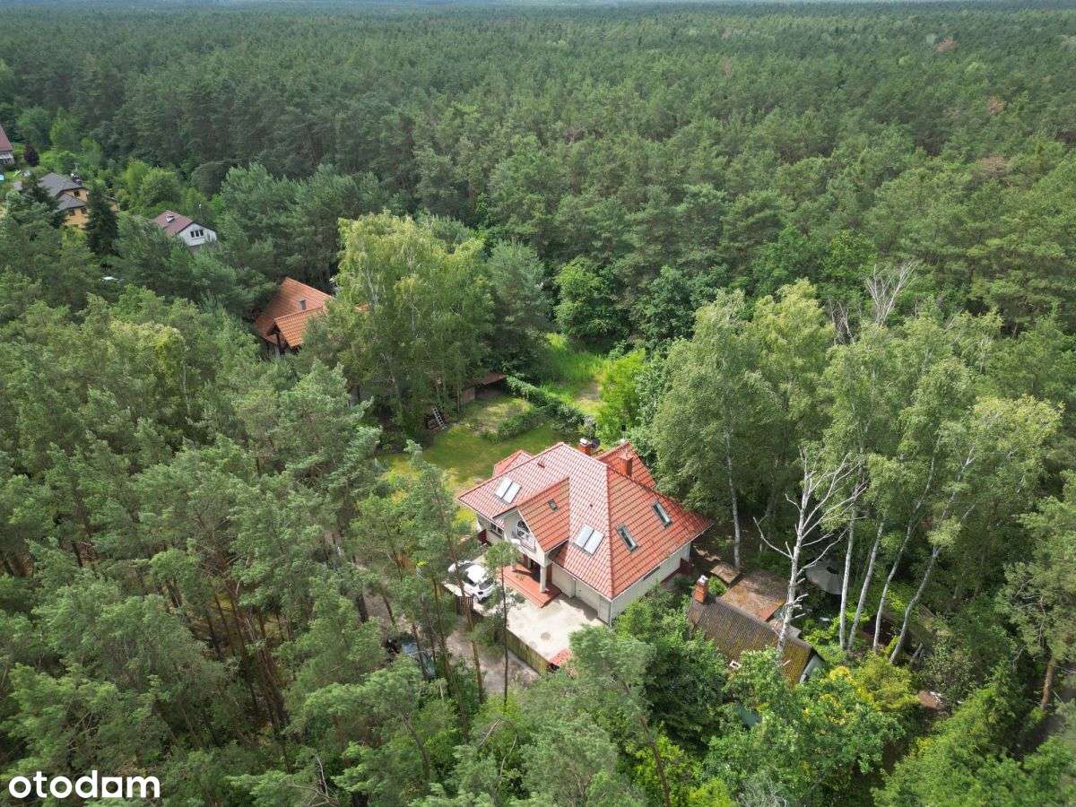 Dziełka z dużym potencjałem Dąbrowa Chotomowska-1