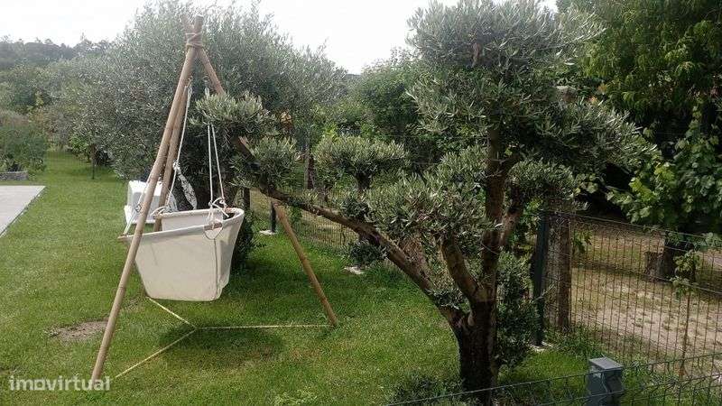 Quinta  Renovada - Grande imagem: 5/11