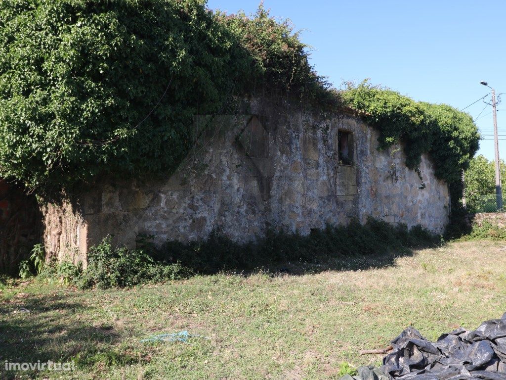 Quinta com 1,6 hectares em Sandiães