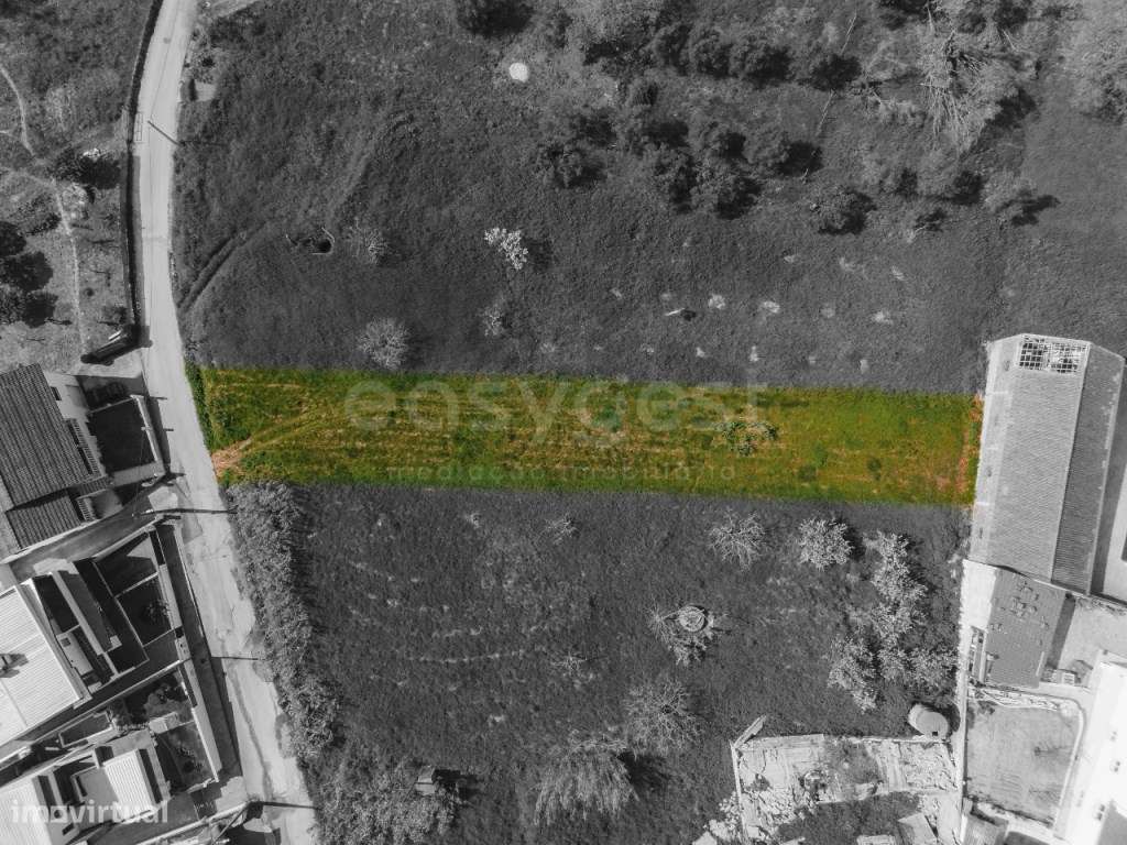 Terreno com viabilidade de construção Campo Amarelo- Leiria - Grande imagem: 4/8