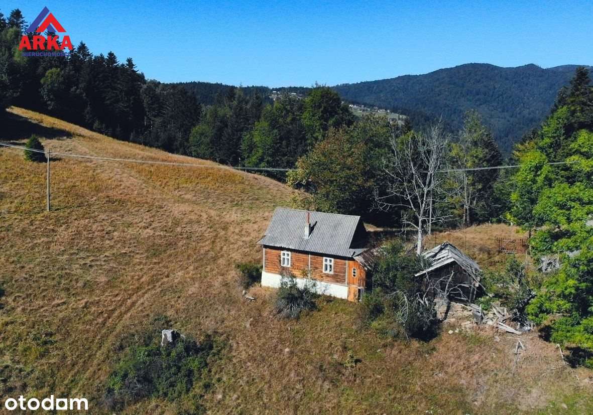 Wyjątkowe siedlisko pośród lasów w Piwnicznej - Pełny obrazek: 4/13