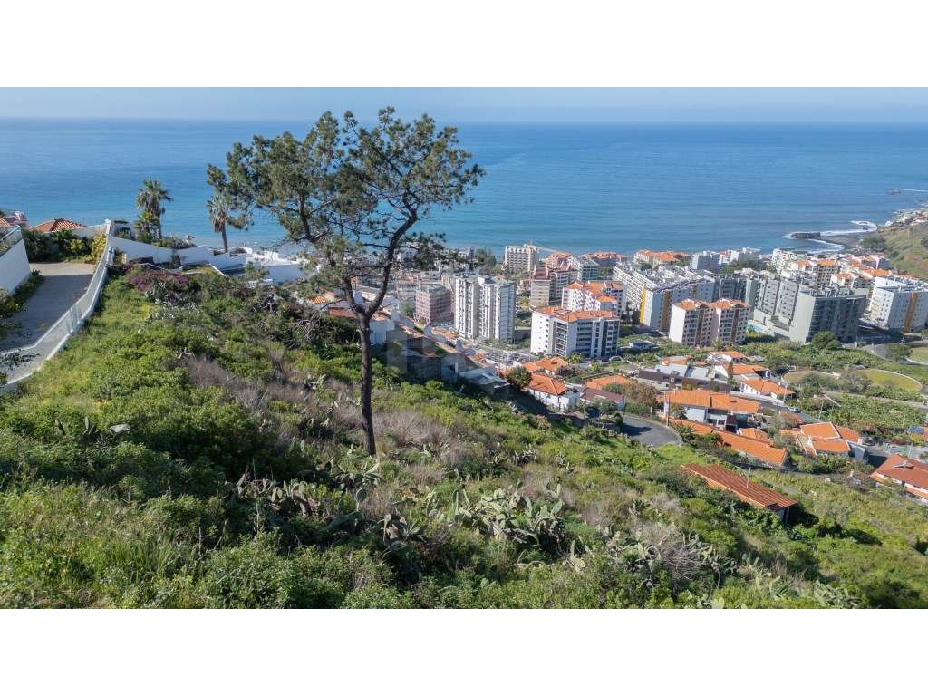 Terreno para construção - Amparo - Grande imagem: 4/20