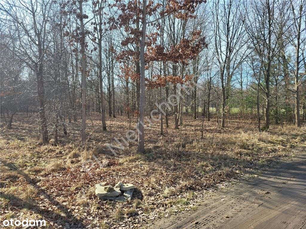 Najnowsza oferta w Cegłowie-4