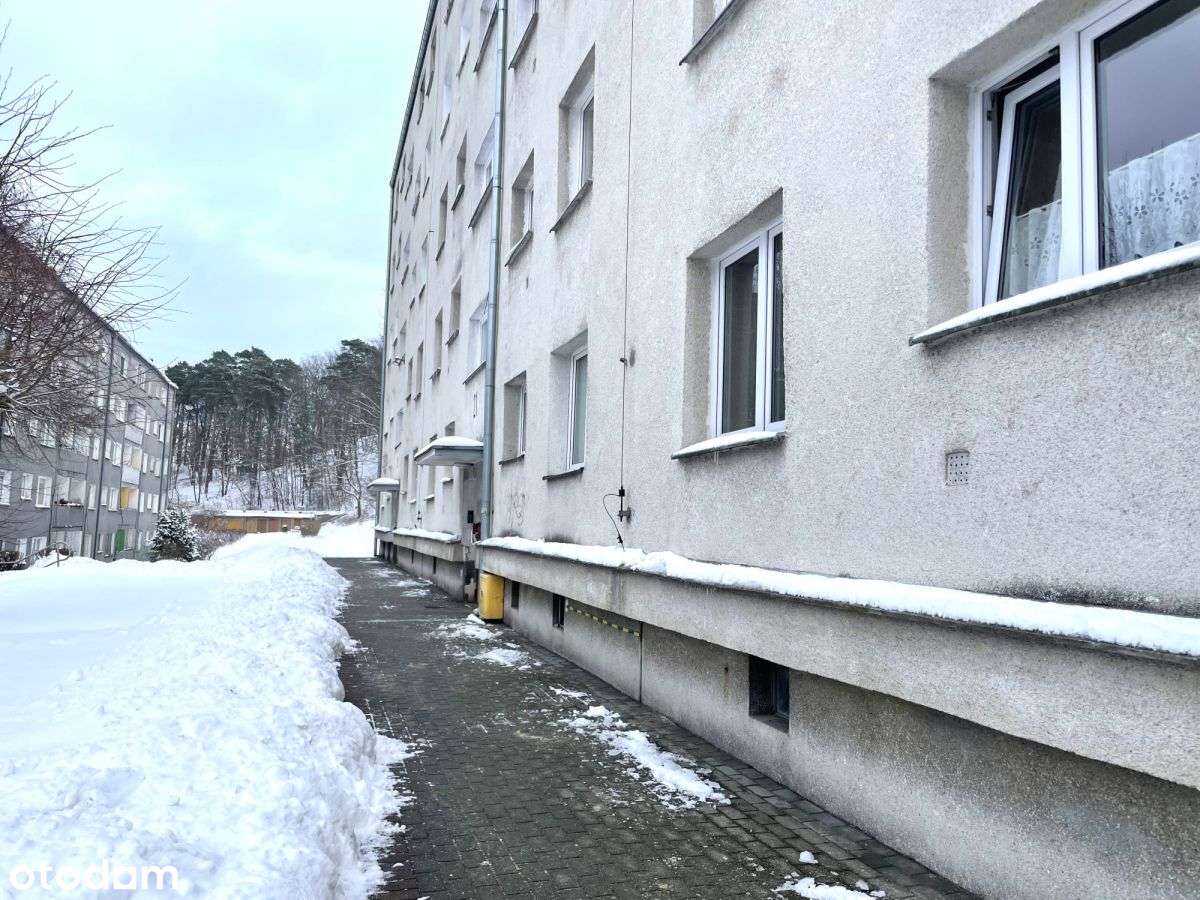 2-pokojowe mieszkanie z widokiem na las Gdynia-5