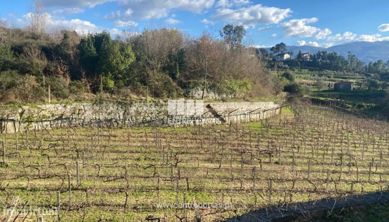 Venda Terreno, Penha Longa, Marco de Canaveses - Grande imagem: 5/29