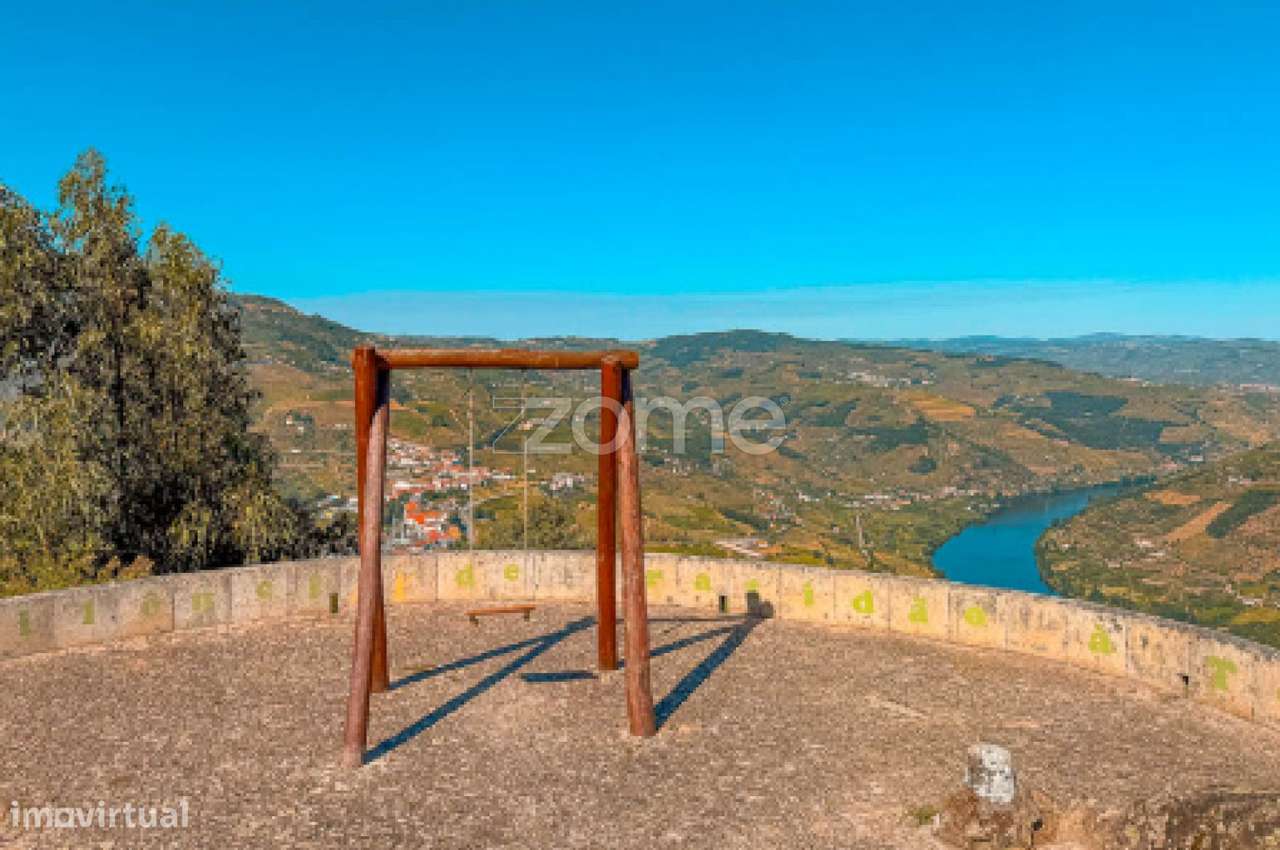 Quinta no Douro - Douro Farm - Douro-TAL-13