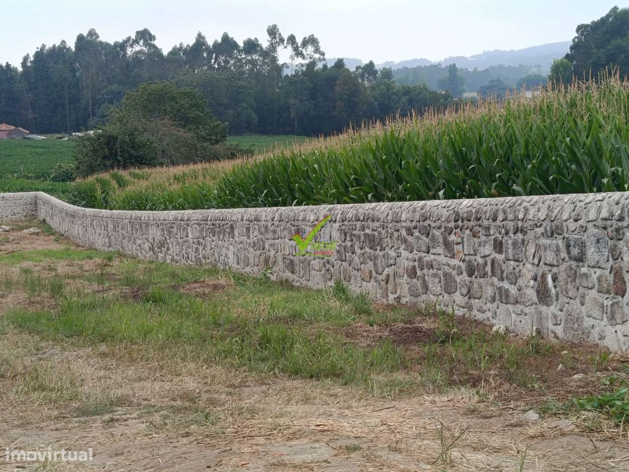 Terreno Junqueira, Vila do Conde-5