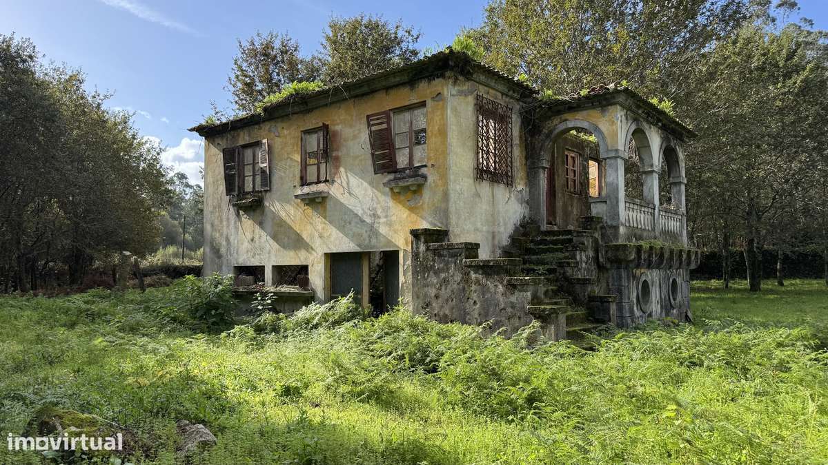 Ruína  9700m2 - vedada em pedra - Vila Cova-1