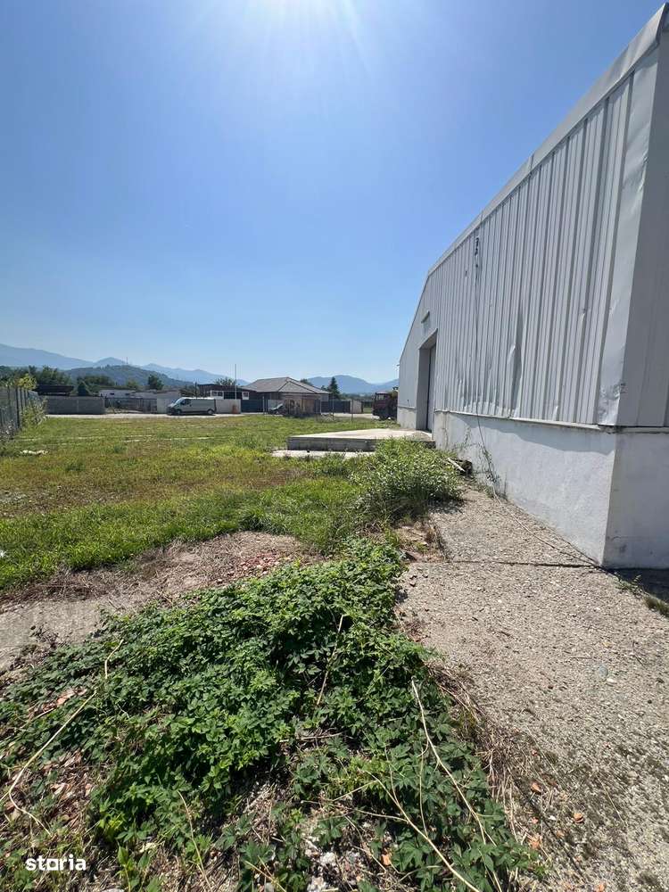 Hală industrială de INCHIRIAT – Tălmaciu Central - Imagine principală: 4/9