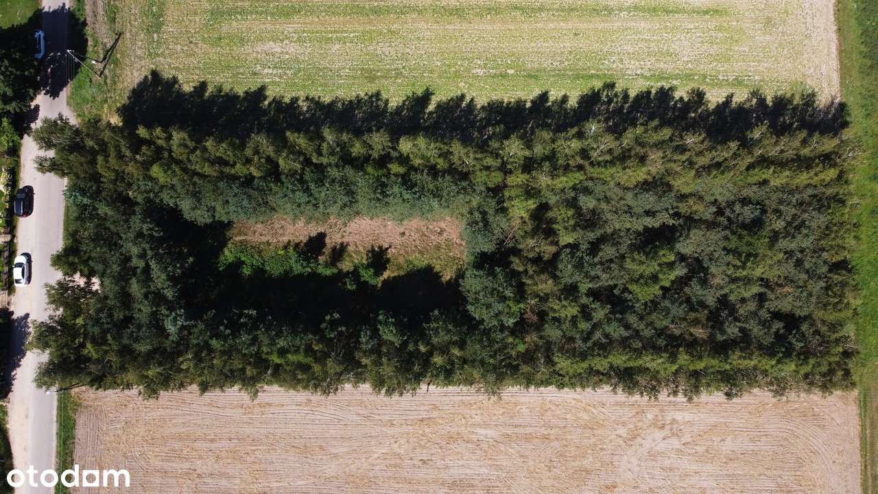 Działka budowlana Podgórze Parcele gm. Mała Wieś | sielski klimat - Pełny obrazek: 4/5