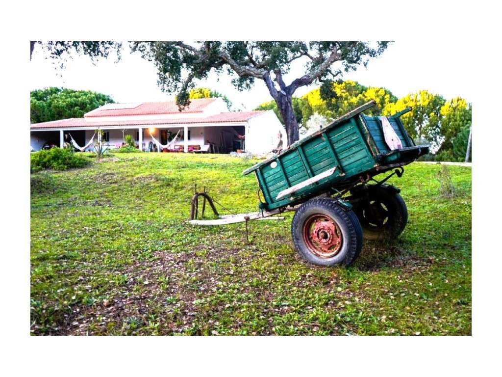 Monte Alentejano com 8,2 Hectares - Um Paraíso de Natureza e Sereni...-43