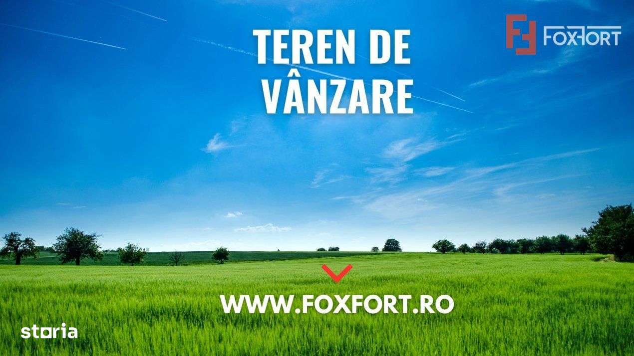 Teren intravilan de 10.000 mp de vanzare, zona Calea Sagului - Imagine principală: 4/4