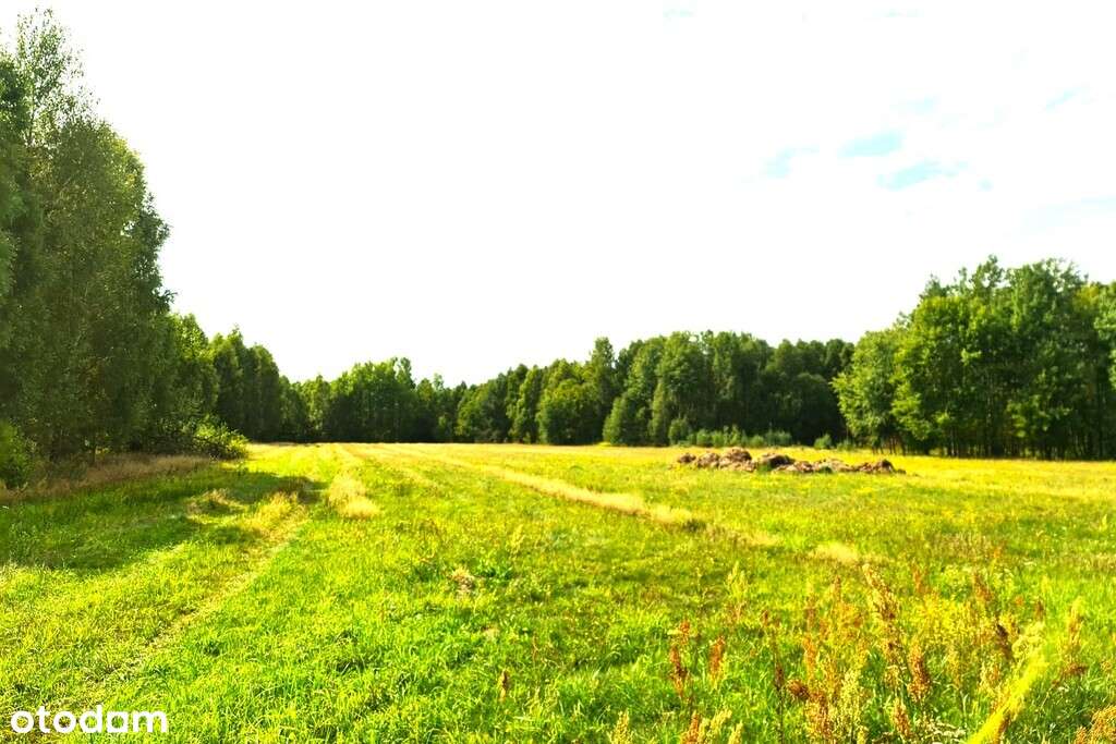 Działka budowlana na sprzedaż - Pełny obrazek: 3/5