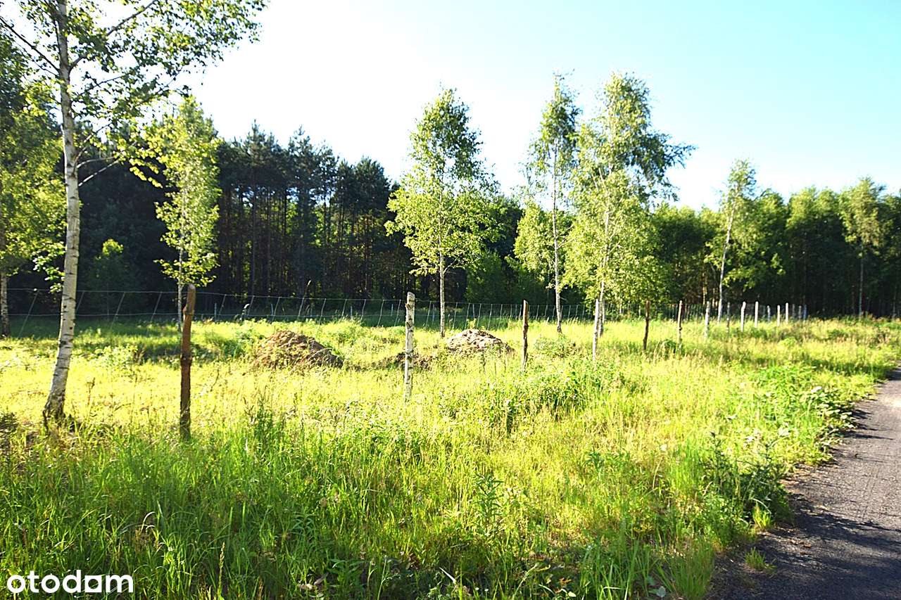 SPRZEDAM !!!! Piękną działkę z warunkami zabudowy gm. Gietrzwałd-5