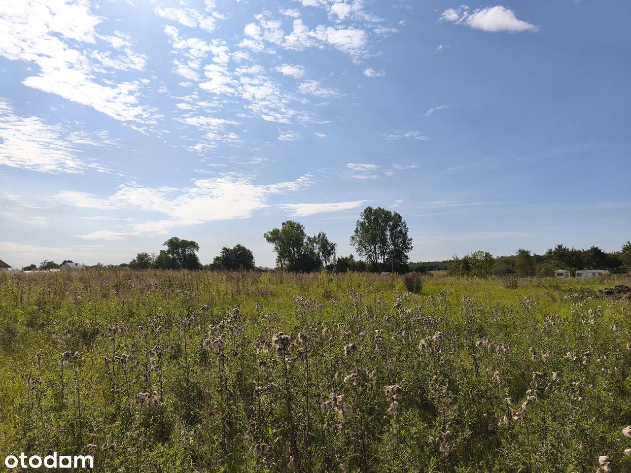 Miejsce pod Twój dom na wsi - Pełny obrazek: 4/15