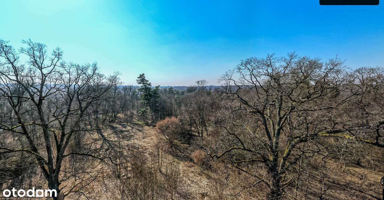 Działka pod inwestycję - Mazury !!!-0