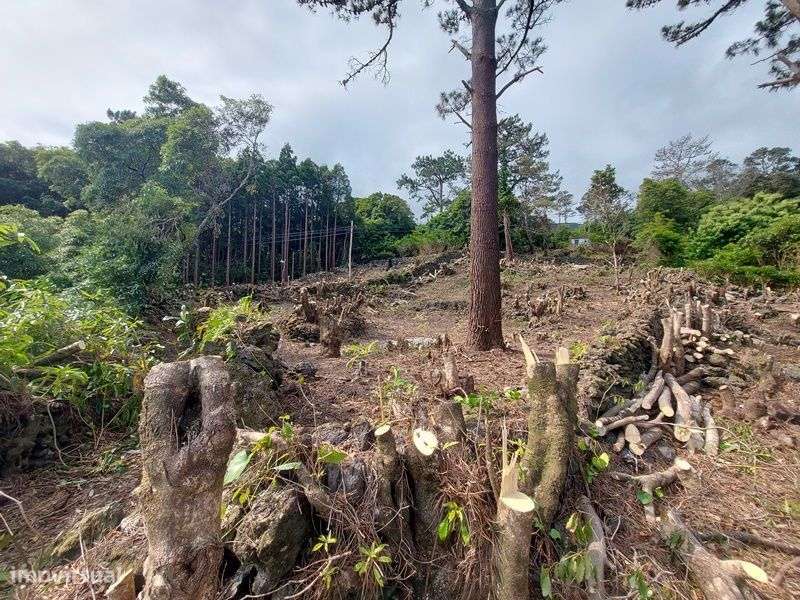 Terreno fabuloso na Prainha de cima- azores - Grande imagem: 4/20