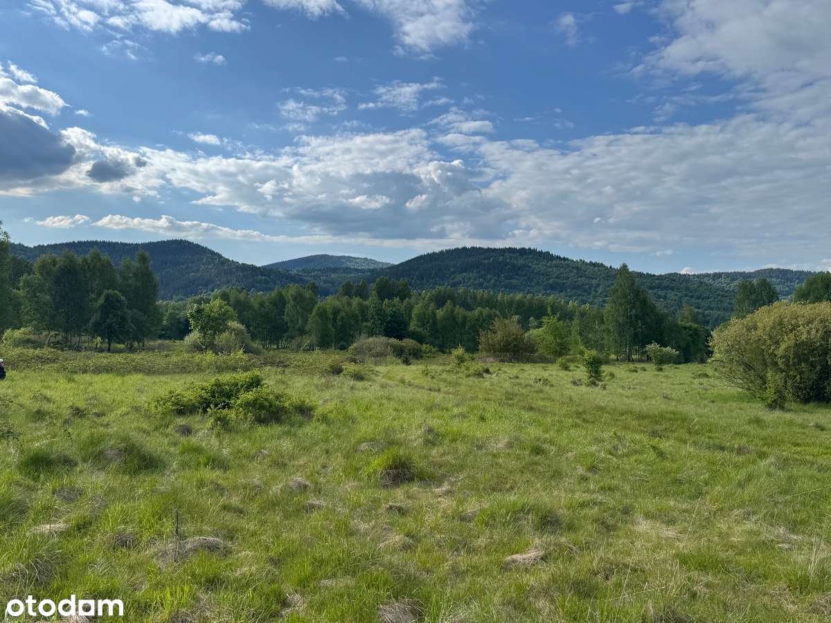 Mała i tania działka z dobrym dojazdem, widoki, zieleń, rekreacja - Pełny obrazek: 3/6
