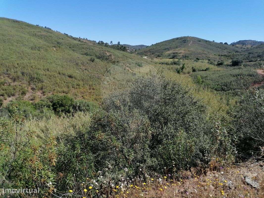 Terreno  para venda - Grande imagem: 4/6