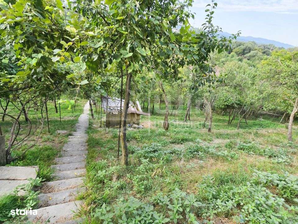 Teren intravilan 2305mp | Front 26m | Grigorescu | Zona strazii Donath - Imagine principală: 4/4