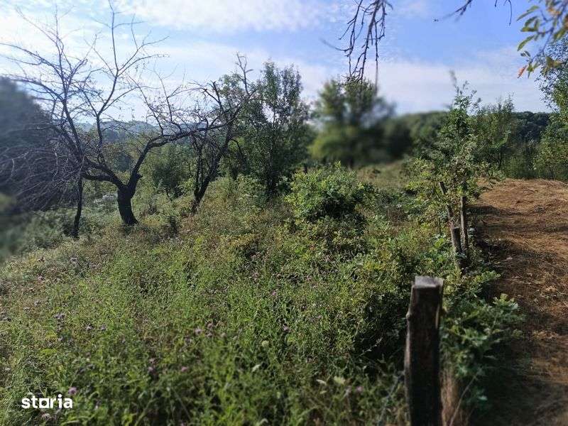 Vand Teren Barlogu Valcea - Imagine principală: 5/8