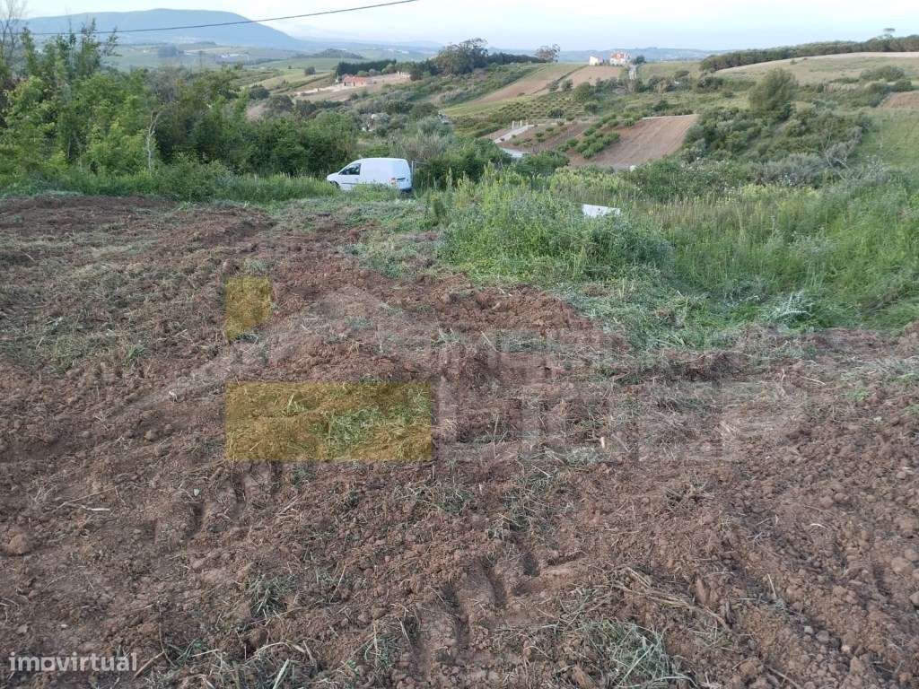 Terreno Rústico com 2.560m2 situado na Carvoeira e Carmões- Torres ... - Grande imagem: 4/7