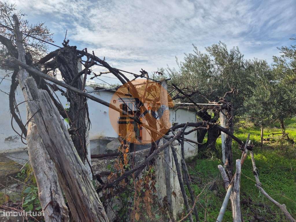 Terreno em Alcoutim, muito perto do Rio Guadiana, com viabilidade d... - Grande imagem: 5/7