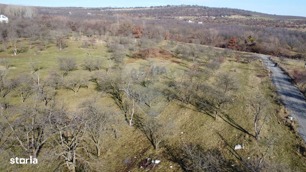 Teren 20.146 mp Dâmbu Rotund (Lomb).Extravilan.Potențial rezidențial-14