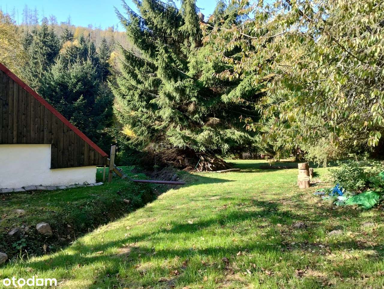 ZABYTKOWA NIERUCHOMOŚĆ PRZY SAMYM PARKU NARODOWYM - Pełny obrazek: 4/15