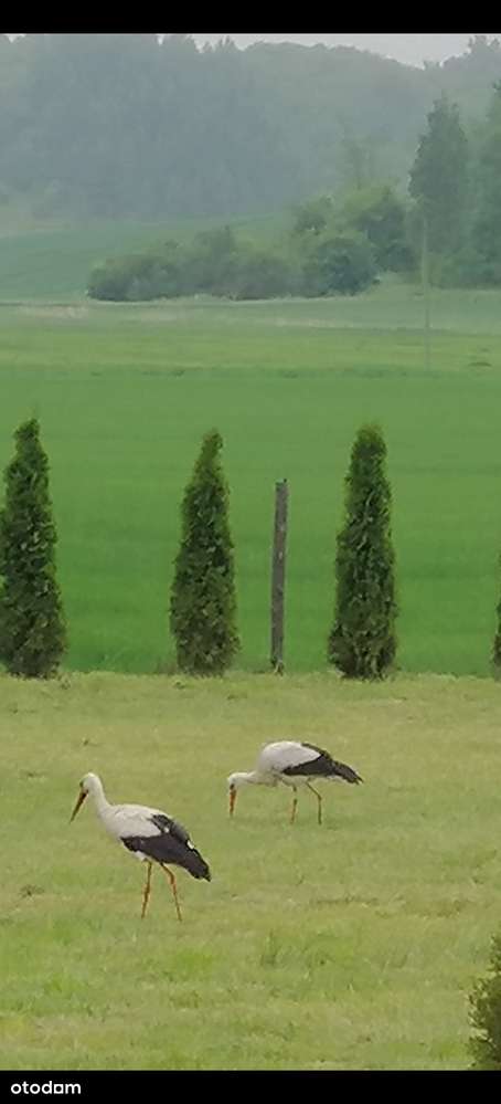 Dom na działce 33a Pozwolenie na budowę z Projektem Nowego Domu-11