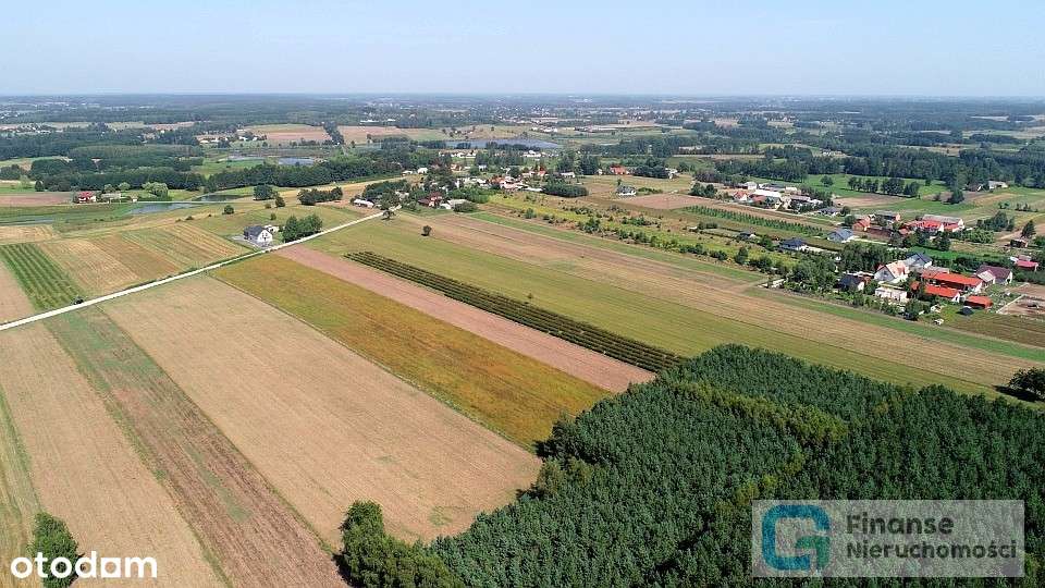 Działki pod zabudowę w Ossowicach, gm. Cielądz - Pełny obrazek: 4/20