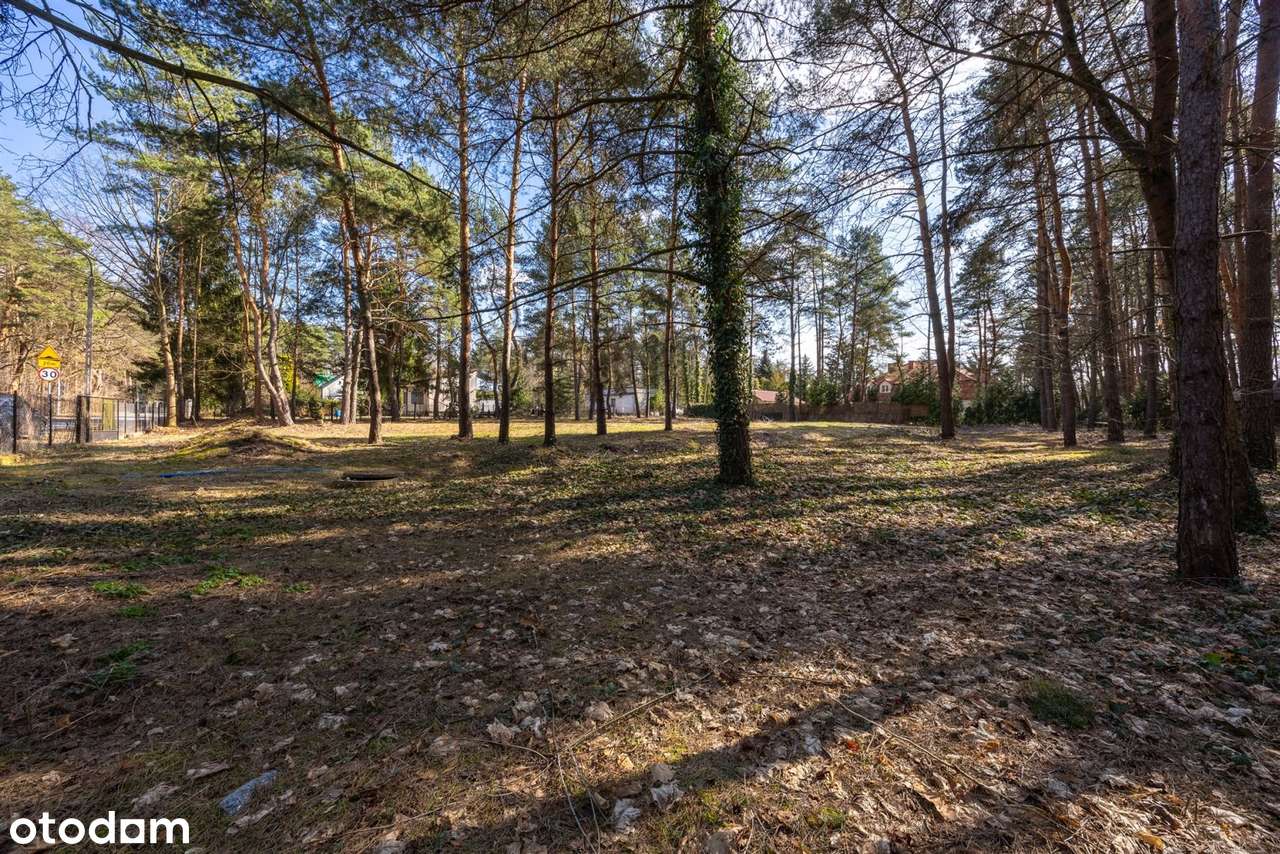 działka 3318m2 | zabudowa wolnostojąca | chylice-14