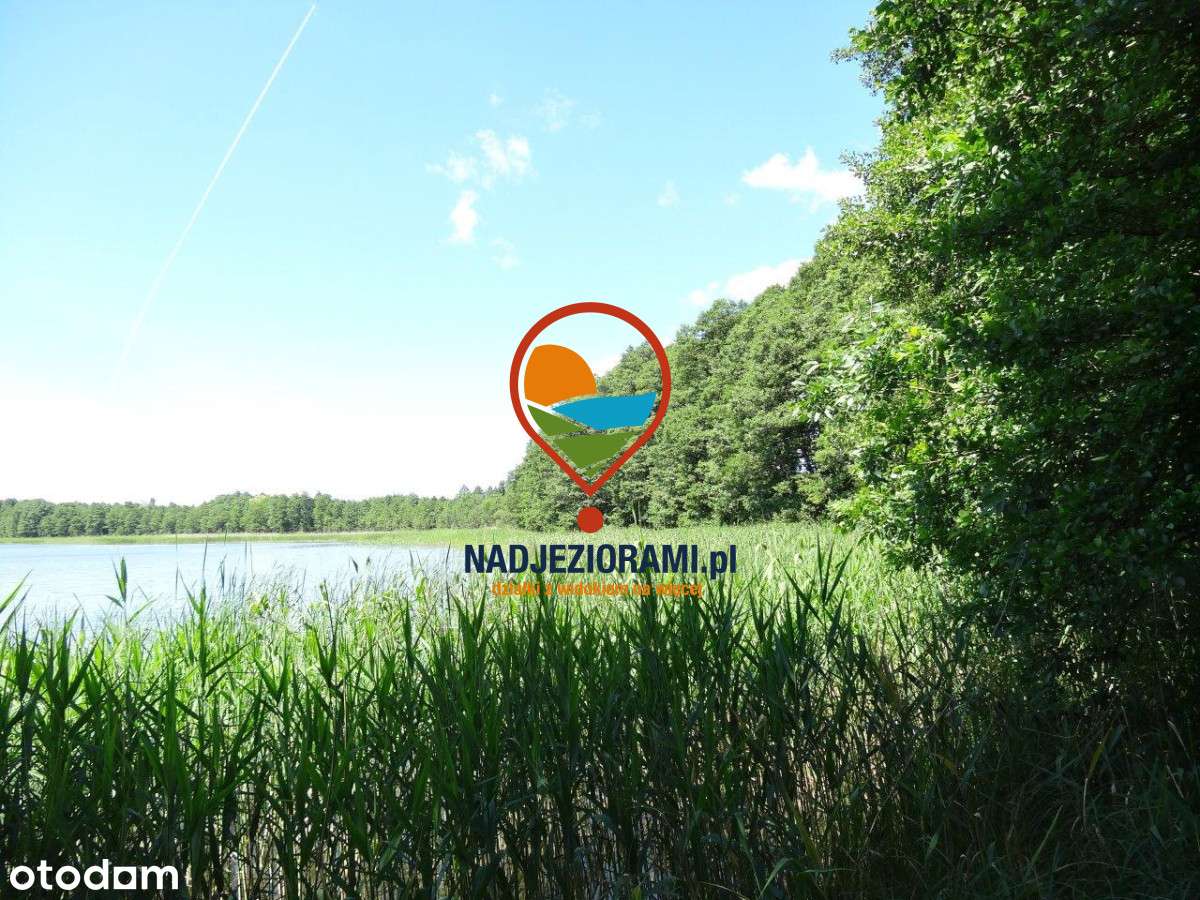 Działka z linią brzegową jeziora Wilkus - Pełny obrazek: 5/10