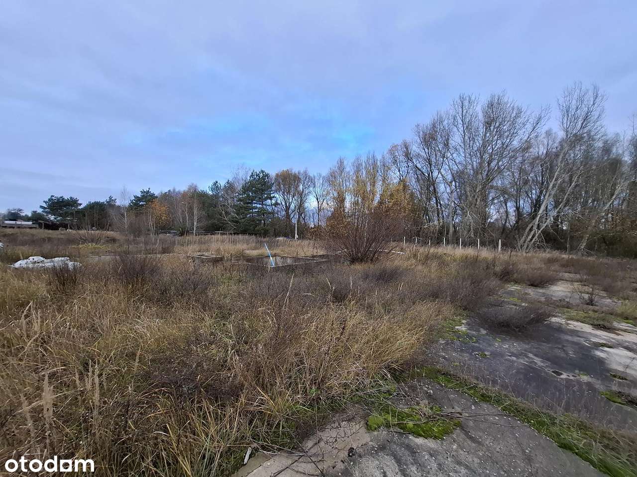 hala produkcyjna z budynkiem administracyjno - biurowym, Wągrowiec-15