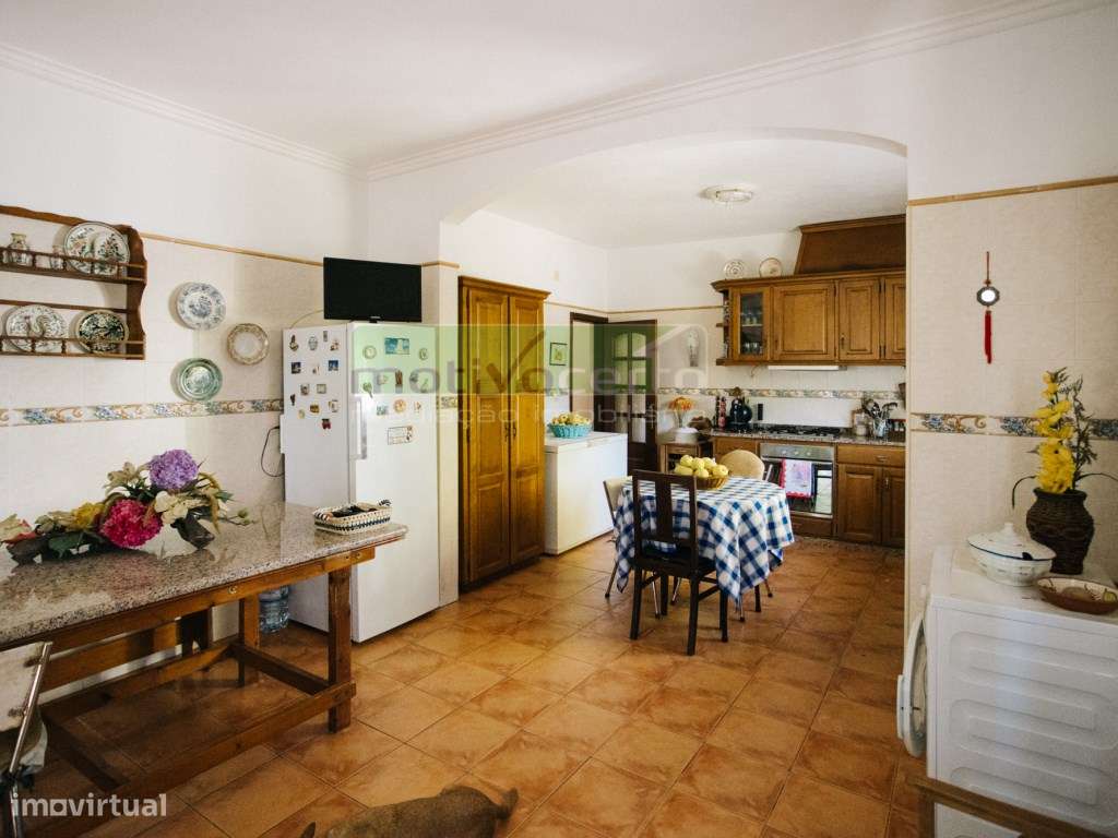 Moradia Térrea T4 em Quinta de 11.250 m² com Árvores de Fruto. Em S...-9