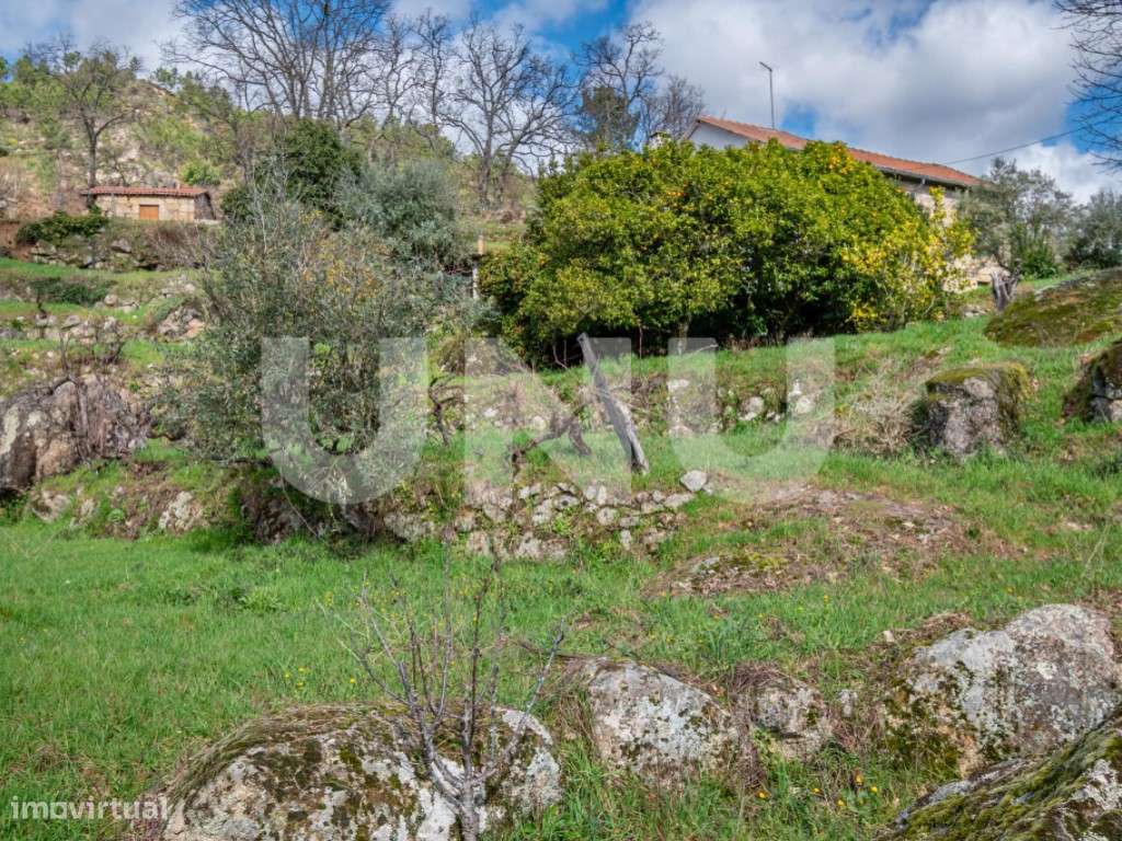 Quinta T2 com Habitação, Infraestruturas Agrícolas e Terreno com Vi...-45