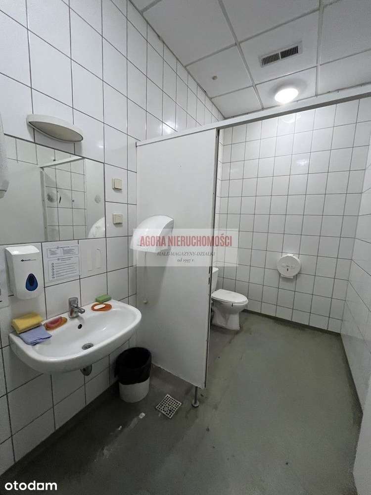 Hala 480 m2 Produkcja lub Magazyn brama "0" Tir - Pełny obrazek: 5/7