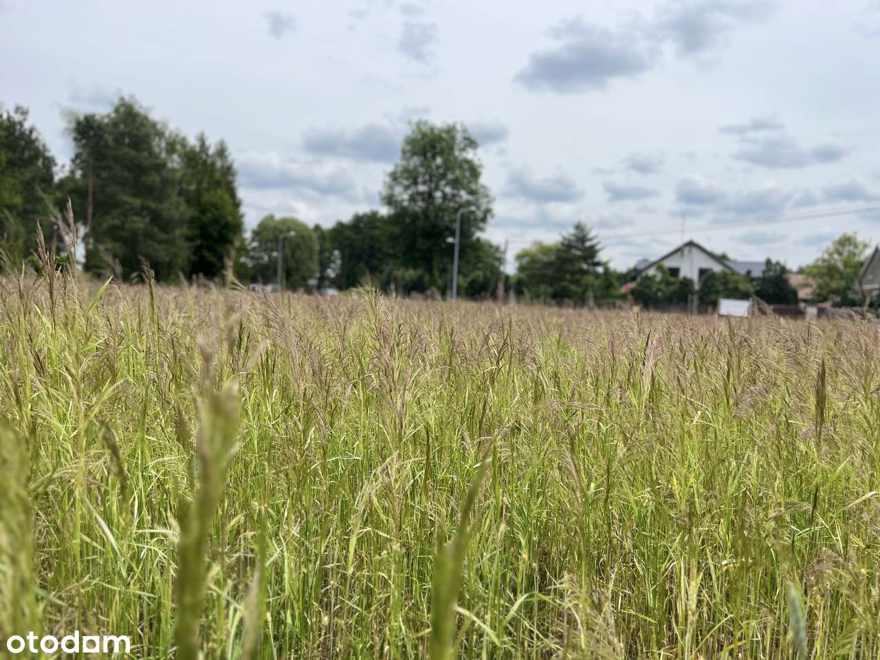 Działka pod miastem - Pełny obrazek: 4/4