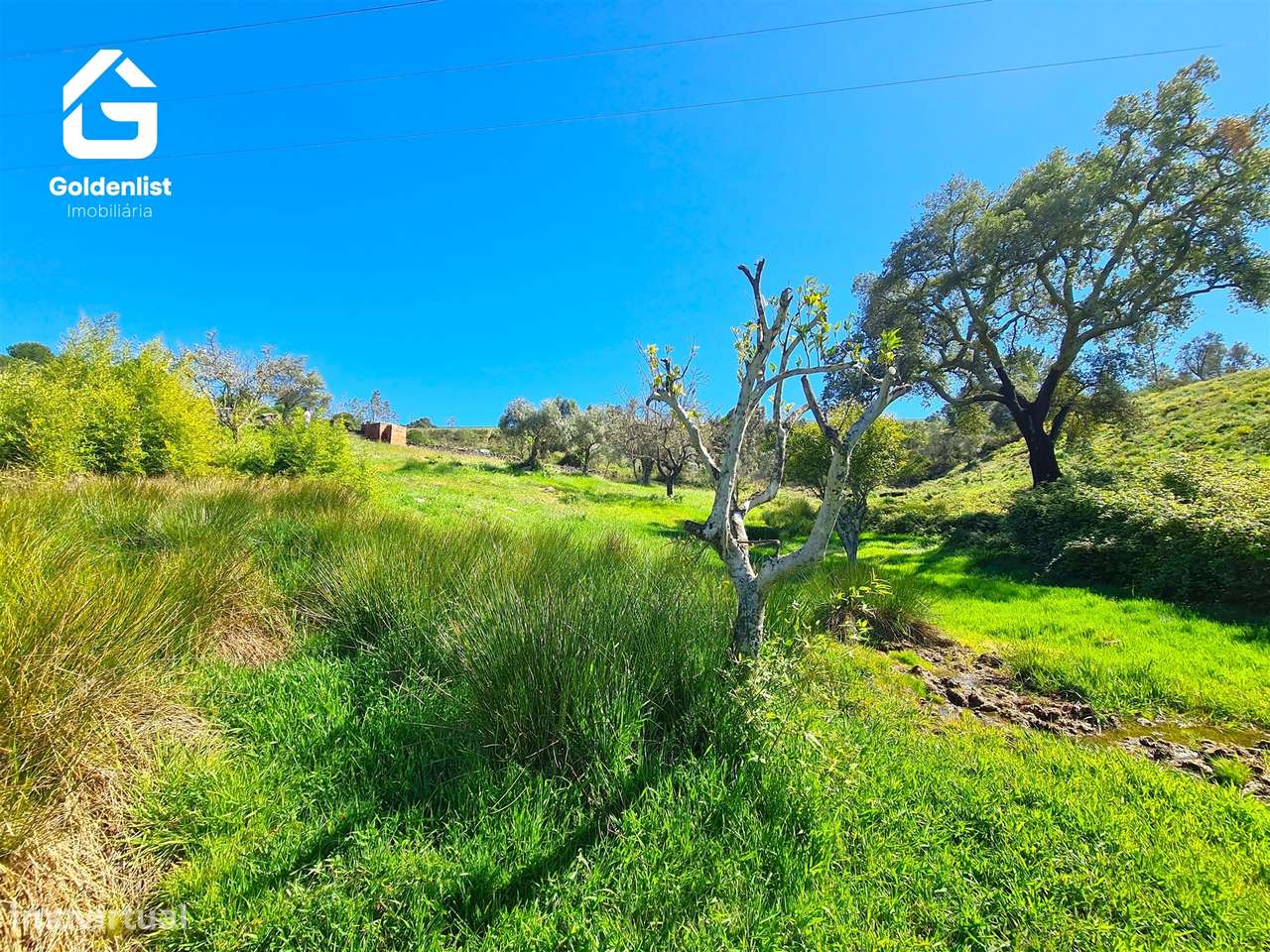 Terreno  Venda em Cebolais de Cima e Retaxo,Castelo Branco-10